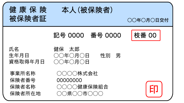 保険証　見本